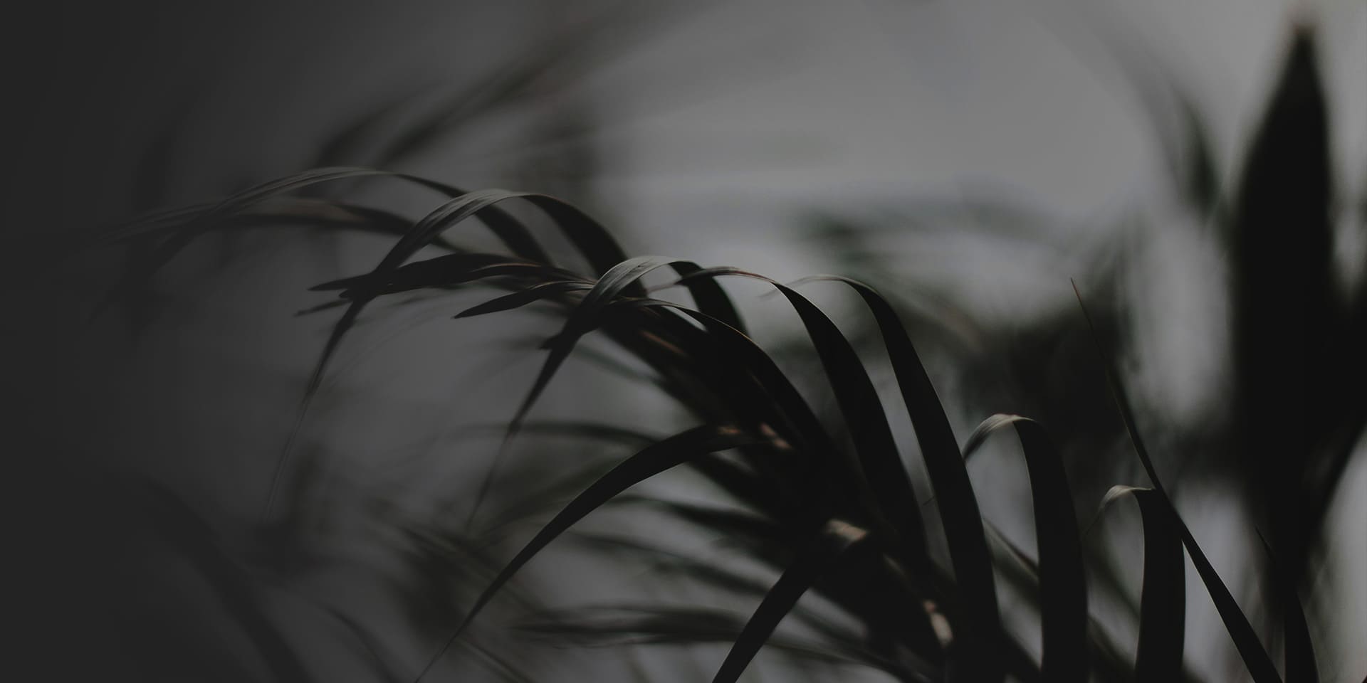 소요한남 방문안내