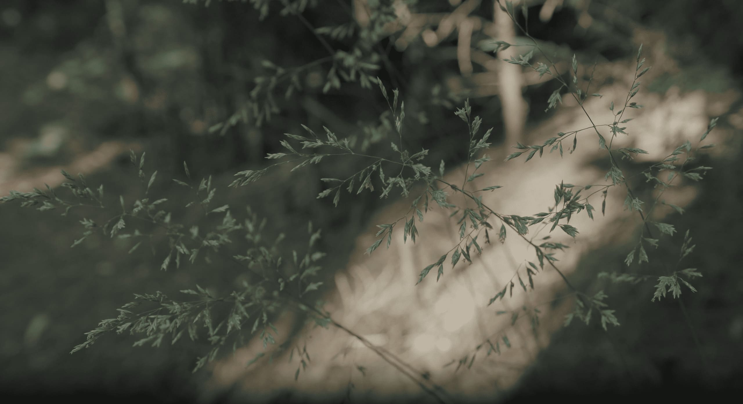 소요한남 레지던스 분양